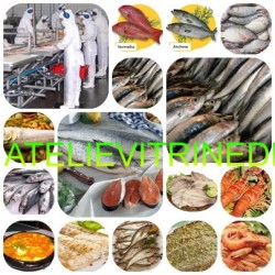 Loja de Ateliervitrinedpeixe