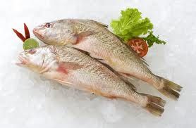 curvina limpa inteira